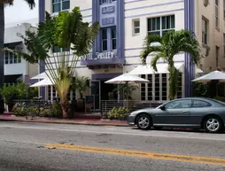 Shelley Hotel | Florida - Miami Beach - Güney Plajı