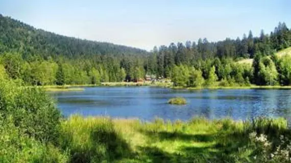 Chalet Résidence La Combeauté | Grand Est - Vosges (bölge) - Girmont-Val-d'Ajol