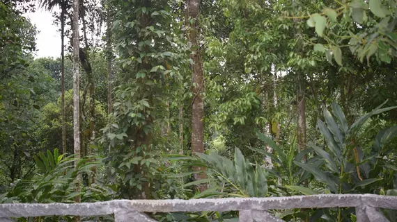 Shalimar Spice Garden | Kerala - Idukki Bölgesi - Thekkady