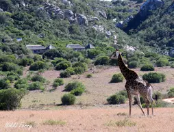 Woodbury Lodge | Eastern Cape - Makana - Sidbury