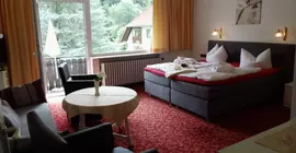 Parkhotel Weber-Müller | Aşağı Saksonya - Bad Lauterberg