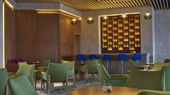 FOUR POINTS BY SHERATON CHENGDU, PUJIANG RESORT | Sişuan - Chengdu