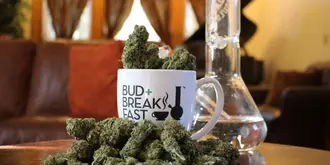 Bud and Breakfast at The Adagio