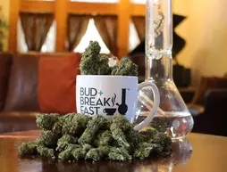 Bud and Breakfast at The Adagio | Kolorado - Denver (ve civarı) - Denver - Cheesman Park