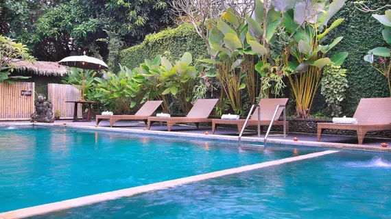 Ubud View Bungalows | Bali - Ubud - Ubud Kent Merkezi