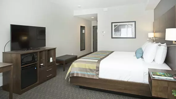 Wingate by Wyndham Calgary Airport | Alberta - Calgary (ve civarı) - Calgary