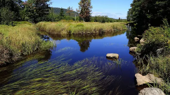 Canaan Valley Resort and Conference Center | Batı Virginia - Davis