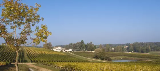 Les Secrets Chateau Pey La Tour | Nouvelle-Aquitaine - Gironde (bölge) - Bordeaux (ve civarı) - Salleboeuf