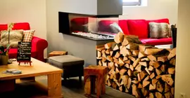 Chalet Hotel Régina | Auvergne-Rhone-Alpes - Haute-Savoie (bölge) - Les Gets