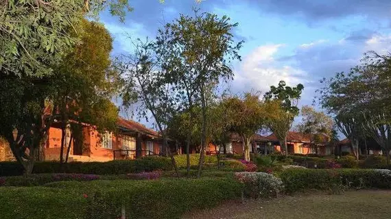 Jacaranda Lake Elementaita Lodge | Nakuru İlçesi - Nakuru (ve civarı) - Gilgil