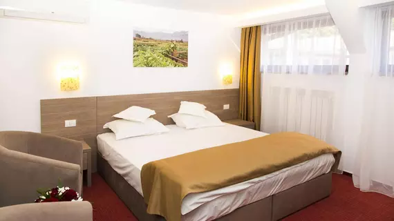 Hotel Herastrau | Bükreş (ve civarı) - Sektör 1 - Kiseleff