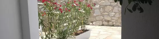 Adonis Hotel & Apartments | Ege Adaları - Paros