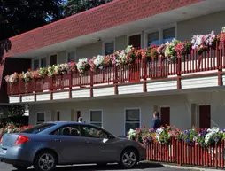 Blue Spruce Inn & Suites | New York - Albany (ve civarı) - Valatie