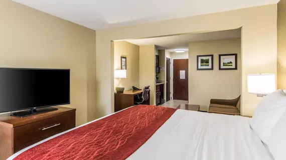 Holiday Inn Express Hotel & Suites Greenwood | Güney Karolayna - Greenwood