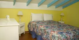 Chrisanns Beach Resort | Saint Ann - Ocho Rios (ve civarı) - Tower Isle