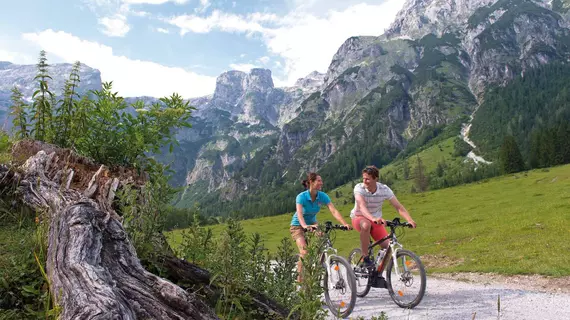 Apartments Bergresort Werfenweng | Salzburg (eyalet) - Sankt Johann im Pongau - Werfenweng