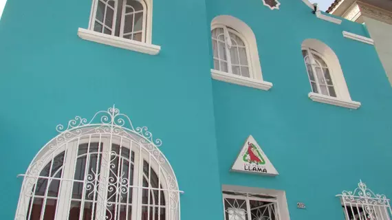 RedPsycho Llama Eco Hostel | Lima (bölge) - Lima Province - Lima (ve civarı) - Lima - Miraflores