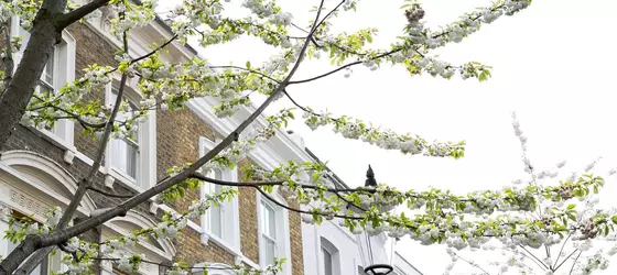 Portobello House | Londra (ve civarı) - Kensington - Notting Hill