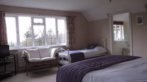 Little Forest Lodge | Hampshire (kontluk) - Ringwood