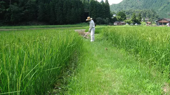 Kigusuriya Inn | Kyoto (idari bölge) - Nantan