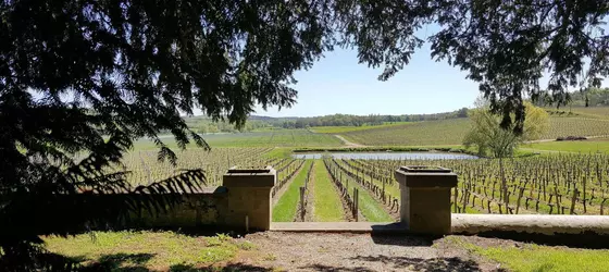 Les Secrets Chateau Pey La Tour | Nouvelle-Aquitaine - Gironde (bölge) - Bordeaux (ve civarı) - Salleboeuf