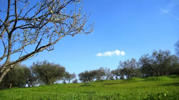 Villa Colle di Rocco | Umbria - Perugia (vilayet) - Cannara