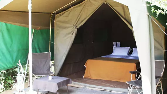 Mahoora Tented Safari Camp - Bundala | Southern Province - Hambantota Bölgesi - Hambantota