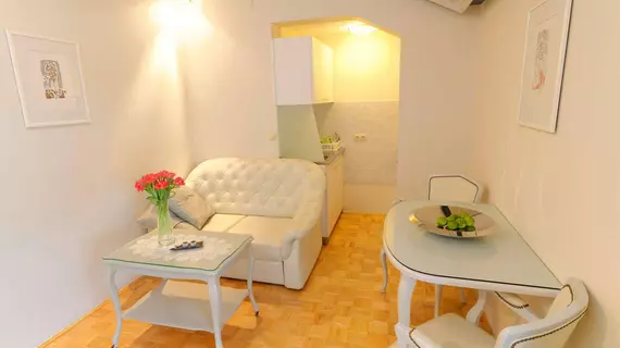 ApartHotel Vila Minka | Ljubljana (ve civarı)