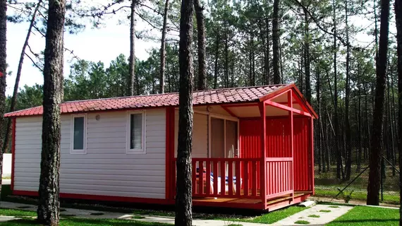 Orbitur Vagueira Bungalows Caravan Park | Centro - Aveiro Bölgesi - Vagos