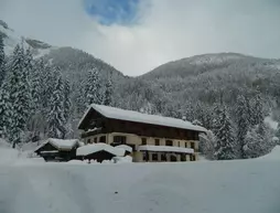 Les Sapins | Auvergne-Rhone-Alpes - Haute-Savoie (bölge) - Montriond