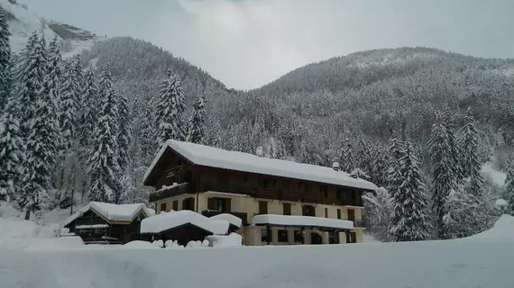 Les Sapins | Auvergne-Rhone-Alpes - Haute-Savoie (bölge) - Montriond