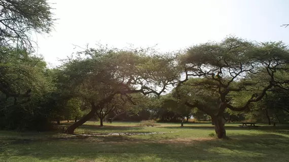 Lake Natron Tented Camp | Arusha Bölgesi - Natron Gölü