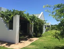 Fijndraai Cottages | Western Cape (il) - West Coast DC - Drakenstein - Cape Town (ve civarı) - Stellenbosch