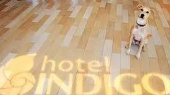 Hotel Indigo Atlanta Downtown | Georgia - Atlanta (ve civarı) - Atlanta - Downtown Atlanta