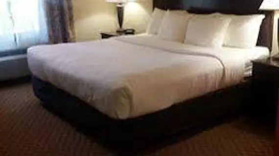 Comfort Suites Houston | Teksas - Houston (ve civarı) - Houston - Aldine