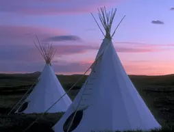 Lodgepole Gallery & Tipi Village - Campground | Montana - Blackfeet Yerli Koruma Alanı - Browning