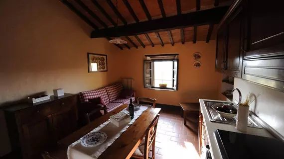 Agriturismo Nerbona | Toskana - Siena (vilayet) - San Gimignano - Val d'Elsa