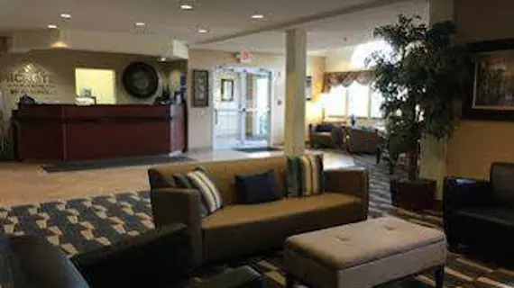 Microtel Inn & Suites by Wyndham Indianapolis Airport | Indiana - Indianapolis (ve civarı) - Indianapolis