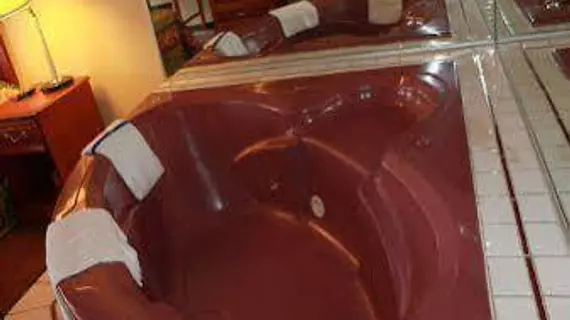 Jacuzzi Inn | Indiana - Indianapolis (ve civarı) - Indianapolis