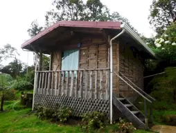 Mirador de Quetzales | Cartago (ili) - Cartago (ve civarı) - Copey