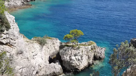 Touring Club Italiano - Isole Tremiti | Puglia - Foggia (il) - Tremiti Adaları