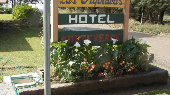 Hotel las Orquideas | Puntarenas (ili) - Monteverde