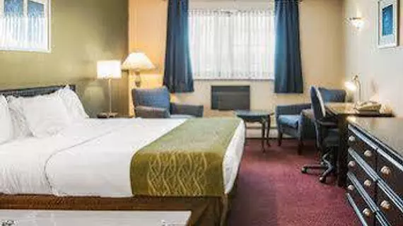 Rodeway Inn | Michigan - Grand Rapids (ve civarı) - Grandville