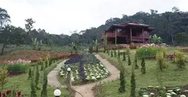 Phu Mok Dok Mai Resort | Chiang Rai İli - Wiang Kaen - Po