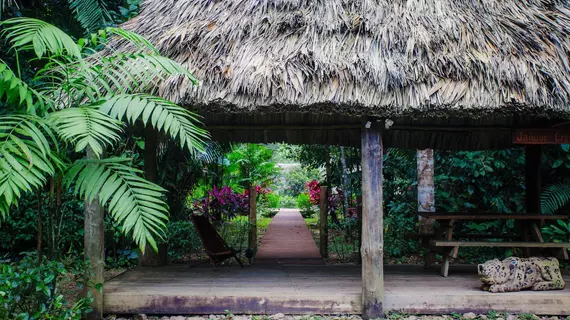 Jaguar Creek | Cayo Bölgesi - Belmopan