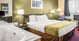 Rodeway Inn | Michigan - Grand Rapids (ve civarı) - Grandville