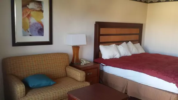 Studio 9 Inn & Suites | Alabama - Huntsville (ve civarı) - Decatur