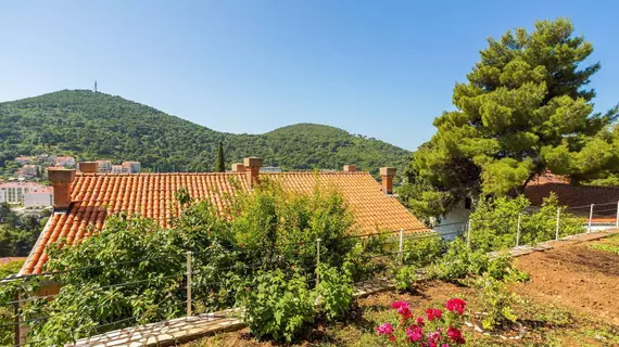 Apartments Mandy | Dubrovnik-Neretva - Dubrovnik (ve civarı) - Dubrovnik - Lapad - Babin Kuk