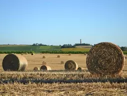 Du Côté de Chez Jeanne | Occitanie - Gers - Fources