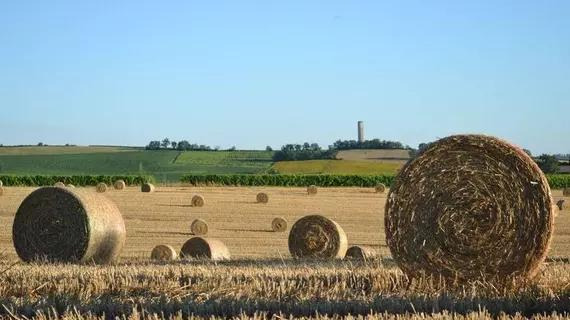 Du Côté de Chez Jeanne | Occitanie - Gers - Fources